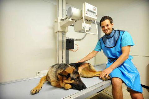 Pacific Vetcare - Education Melbourne 0