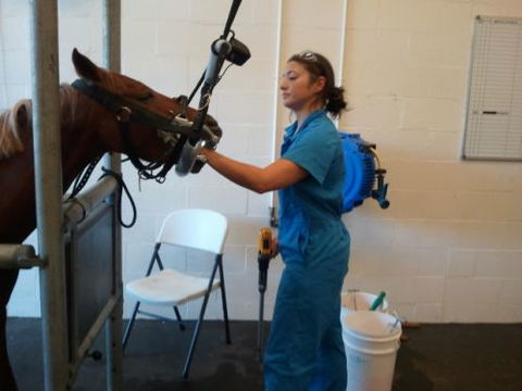 Pacific Vetcare - Education Melbourne 9