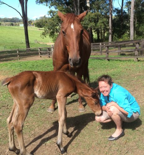 Pacific Vetcare - Education Melbourne 5