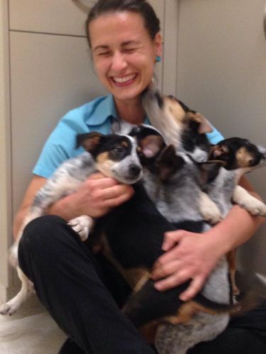 Pacific Vetcare - Education Melbourne 7
