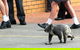 St Philip’s Christian College - thumb 7
