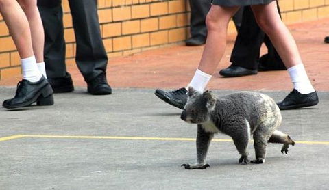 St Philip’s Christian College - Education Melbourne 7