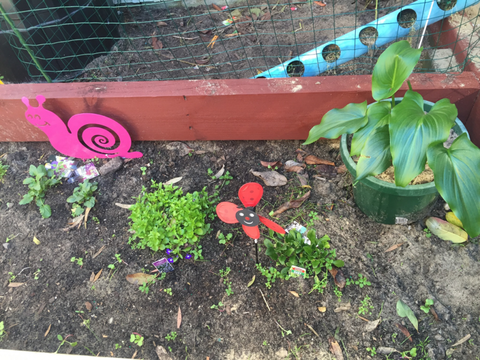 TLC Early Learning Centre - Education Melbourne 3