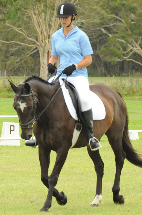 Encantador The Riding School - Education Melbourne 3