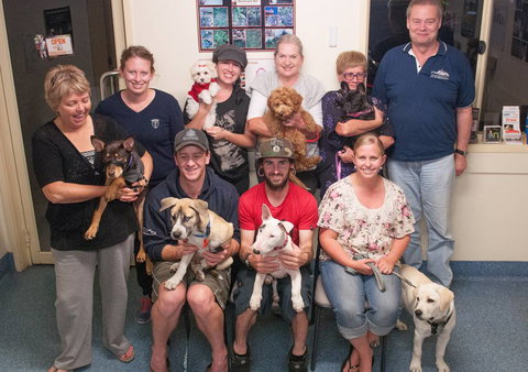 Barkers In Balance - Education Melbourne 2