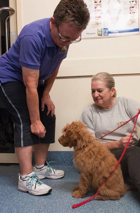 Barkers In Balance - Education Melbourne 3