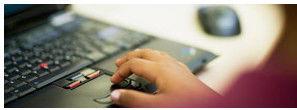 Mary Immaculate Primary Quakers Hill - Education Melbourne 5