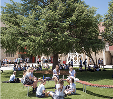 St Columba's Catholic College, Springwood - Education Melbourne 4