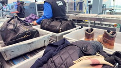 Airport X-ray reveals shocking illegal stash concealed beside passenger's Xbox Education Melbourne