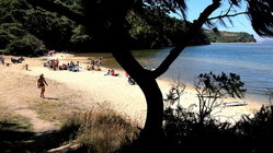 Deadly mystery unfolds as canoeists are found unresponsive after midnight trip Education Melbourne
