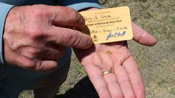 Grandfather finds hidden treasure in plain sight as park officials 'dumbfounded' by discovery Education Melbourne