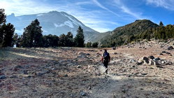 Mount Shasta climber recounts harrowing 500-foot slide, overnight crawl to safety: report Education Melbourne