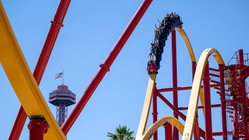 Popular amusement park bans guest for life after roller coaster stunt viral video Education Melbourne