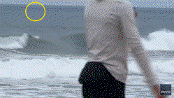 Shark Week shocker as great white breaches just yards from oblivious boogie boarder Education Melbourne